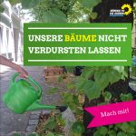 Aufruf zum Bäume gießen in Marzahn-Hellersdorf